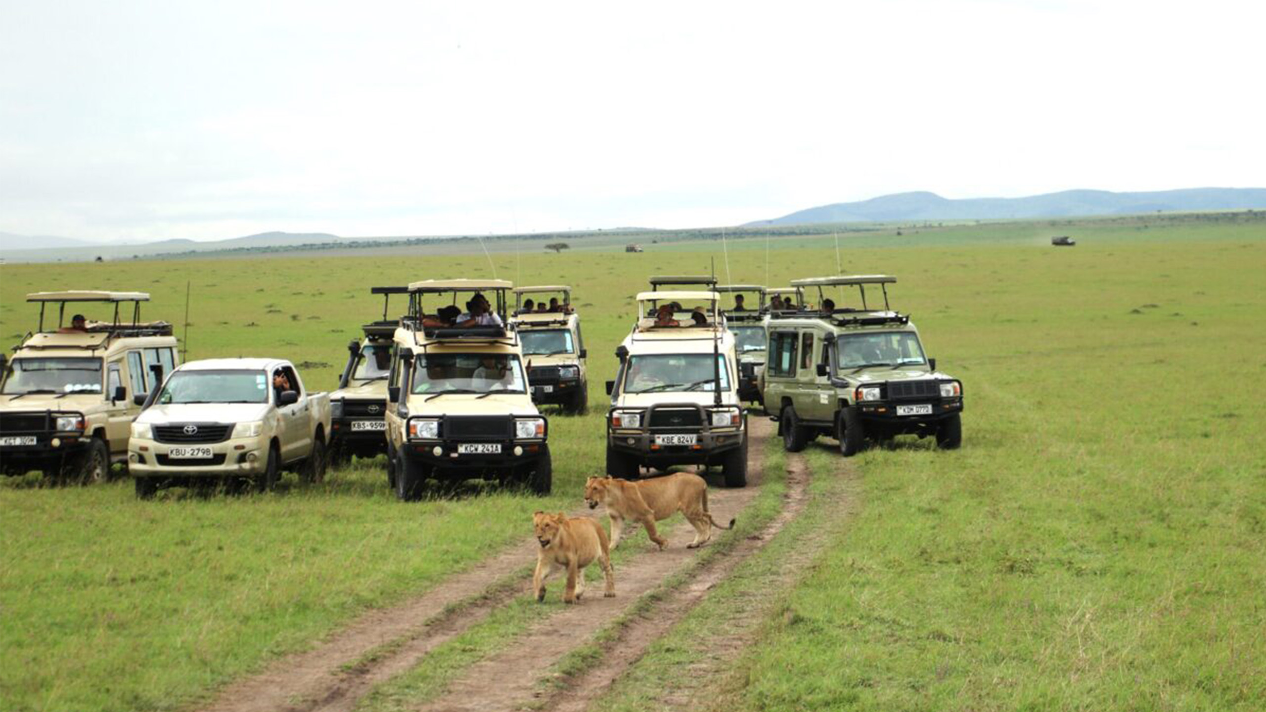 Wonder Tours Kenya safari